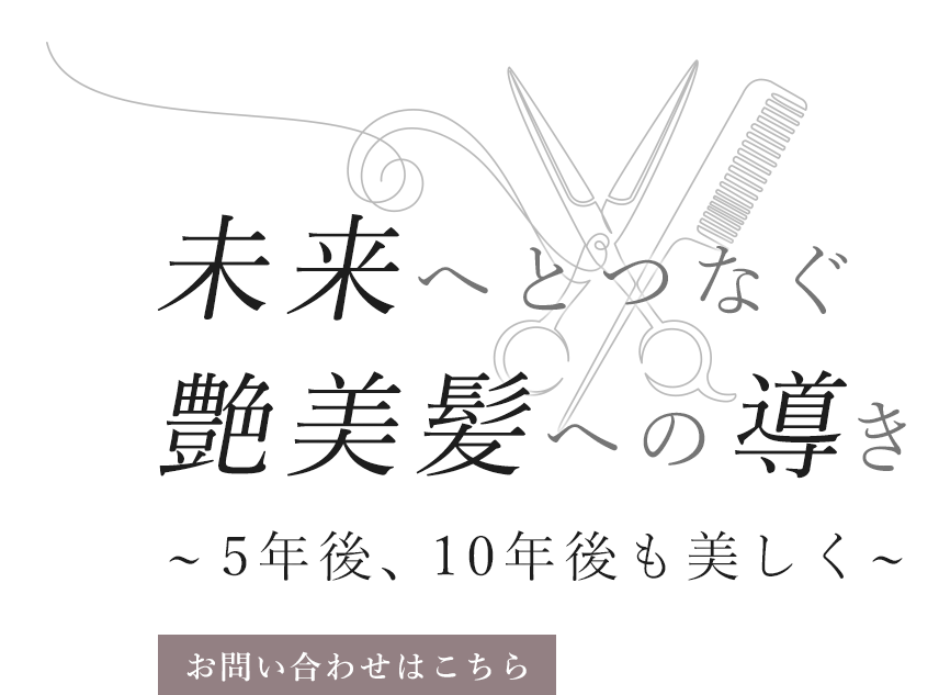 未来へとつなぐ艶美髪への導き